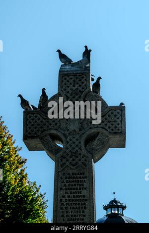 Rock doves on Celtic Cenotaph cross. Stock Photo