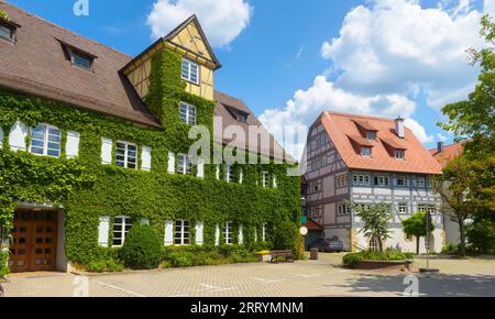 House overgrown with climbing plants in German town, Europe. Scenery of green building wall on city street in summer. Theme of landscaping, nature, ec Stock Photo