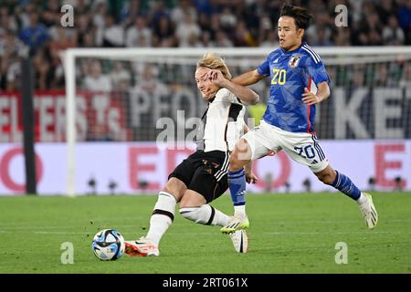 Frankfurt, Germany. 9th Sep, 2023. Julian Brandt (L) of Germany vies with Kubo Takefusa of Japan a friendly match between Germany and Japan in Wolfsburg, Germany, Sept. 9, 2023. Credit: Ulrich Hufnagel/Xinhua/Alamy Live News Stock Photo