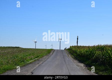 wind power plants behind a corn field Stock Photo