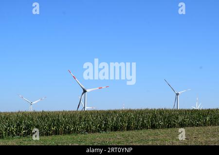 wind power plants behind a corn field Stock Photo