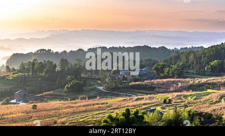 CHONGQING, CHINA - SEPTEMBER 10, 2023 - View of a terraced field in Chongqing, China, September 10, 2023. In order to increase land income, villagers Stock Photo