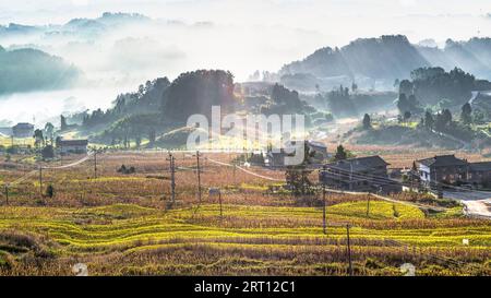 CHONGQING, CHINA - SEPTEMBER 10, 2023 - View of a terraced field in Chongqing, China, September 10, 2023. In order to increase land income, villagers Stock Photo