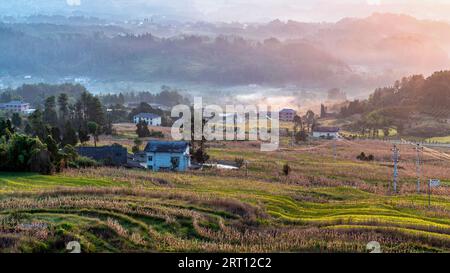 CHONGQING, CHINA - SEPTEMBER 10, 2023 - View of a terraced field in Chongqing, China, September 10, 2023. In order to increase land income, villagers Stock Photo