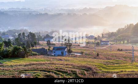 CHONGQING, CHINA - SEPTEMBER 10, 2023 - View of a terraced field in Chongqing, China, September 10, 2023. In order to increase land income, villagers Stock Photo