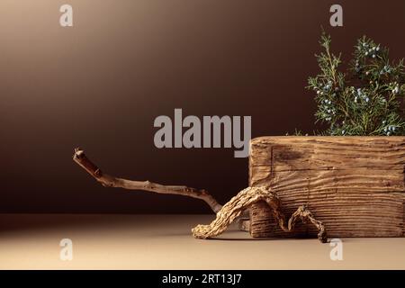 Abstract composition of old wooden plank and juniper branch. Neutral beige background for cosmetic, beauty product branding, and spa concept. Natural Stock Photo