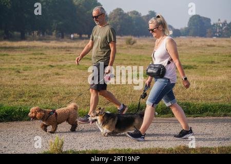 London UK. 10 September 2023 . Dog walkers on  Wimbledon common, south west London in the bright morning sunshine.  The Met Office,  has recorded temperatures above 30 degrees celsius for five consecutive days  for the first time in September.s. Credit amer ghazzal/Alamy Live News Stock Photo