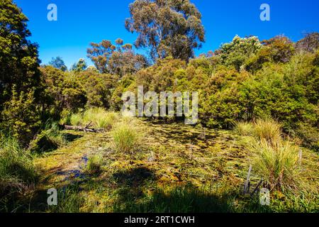 Mount Lofty Circuit Walk in Warrandyte State Park on a hot spring day in Wonga Park, Melbourne, Victoria, Australia Stock Photo