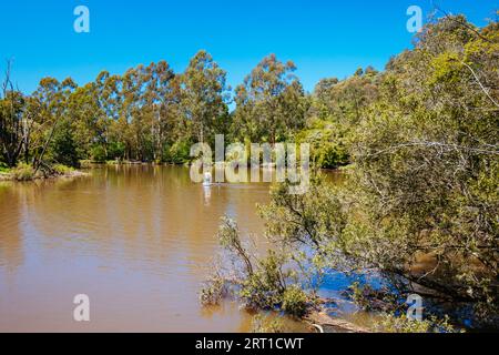 Mount Lofty Circuit Walk in Warrandyte State Park on a hot spring day in Wonga Park, Melbourne, Victoria, Australia Stock Photo