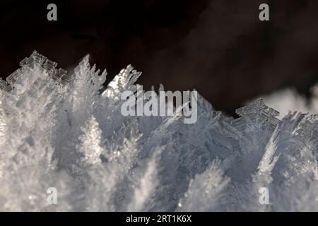 Macro photos of ice flowers during heavy frost Stock Photo