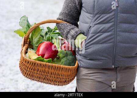 Wicker shopping basket filled with fresh organic fruits and vegetables hanging on arm of woman standing on snow covered meadow coming home from Stock Photo