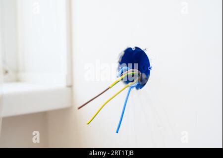 Preparing to install the socket in the wall. Electrical wires sticking out from electrical socket hole on gray concrete wall. Stock Photo
