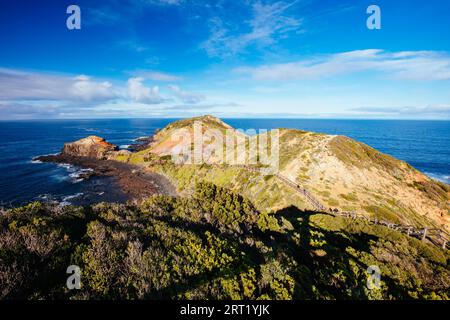 The famous Cape Schanck boardwalk runs towards the sea and rock formation known as London Bridge, in Victora. Australia Stock Photo