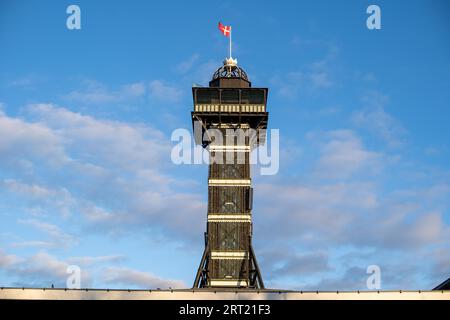 Copenhagen, Denmark, January 03, 2021: The observational tower in Copenhagen Zoo. Copenhagen Zoo is was founded in 1859 and is one of the oldest zoos Stock Photo