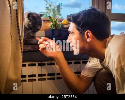 Photo of a young handsome man playing with a grey cat next to a window Stock Photo