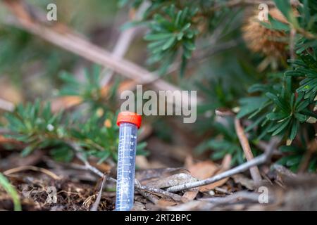 test tube in a field in australia Stock Photo