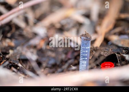 test tube in a field in australia Stock Photo