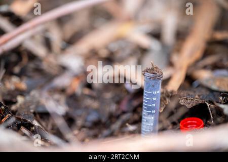 test tube in a field in australia Stock Photo