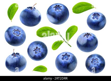 Isolated collection of blueberry fruits with leaves isolated on white background Stock Photo