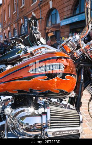 Toulouse, France. 08th Sep, 2023. A Harley-Davidson. The MC France Doomstrikers in Toulouse. A biker club made up of law enforcement and military enthusiasts. LE for law enforcement and MC for Moto-Club. France, Toulouse, September 8, 2023. Photo by Patricia Huchot-Boissier/ABACAPRESS.COM Credit: Abaca Press/Alamy Live News Stock Photo