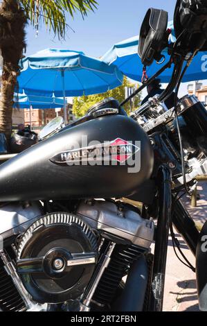 Toulouse, France. 08th Sep, 2023. A Harley-Davidson. The MC France Doomstrikers in Toulouse. A biker club made up of law enforcement and military enthusiasts. LE for law enforcement and MC for Moto-Club. France, Toulouse, September 8, 2023. Photo by Patricia Huchot-Boissier/ABACAPRESS.COM Credit: Abaca Press/Alamy Live News Stock Photo