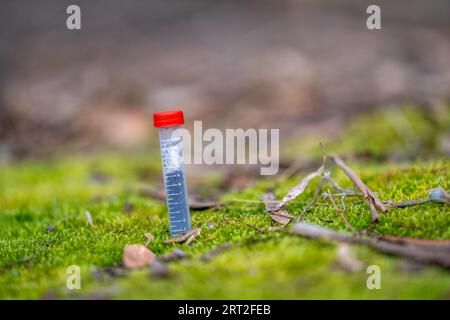 test tube in a field in australia Stock Photo