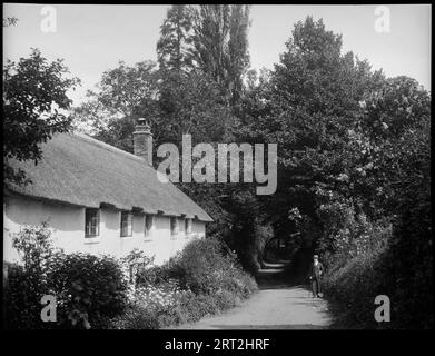 Dunster, West Somerset, Somerset, 1940-1953. View of a lane in Dunster with a low thatched cottage on the left and a man stood on the right side of the road.View of a lane in Dunster with a low cottage on the left side of the road. It has a thatched roof and five upper storey windows visible. The lower section of the house is obscured by foliage. On the right side of the road, opposite the cottage, is a man stood looking at the house, with a walking cane in his right hand and his left hand in his coat pocket. The lane behind him has overhanging trees on both sides. Stock Photo