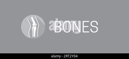 Bones Background Illustration Banner Design Stock Vector