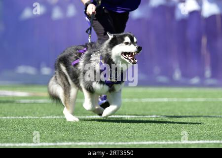 Seattle, USA. 10 Sep, 2023. Elliott bay Stock Photo - Alamy