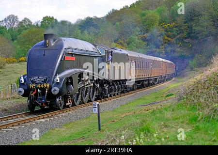 Visiting the Severn Valley Railway, LNER A4 Pacific 4498 Sir Nigel Gresley is seen emerging from Bewdley Tunnel with a rake of period Teak Coaches. Stock Photo