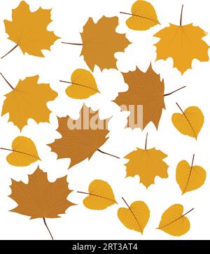 Fall leaves isolated on white background collection. Orange maple leaves pattern. Vector illustration. Stock Vector