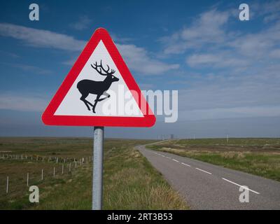 A black and white triangular sign with a red border warning motorists that deer and stags may be present on the road ahead. A deserted road appears in Stock Photo