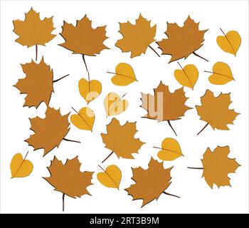 Fall leaves isolated on white background collection. Orange maple leaves pattern. Vector illustration. Stock Vector