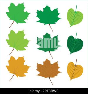 Fall leaves isolated on white background collection. Orange maple leaves pattern. Vector illustration. Stock Vector