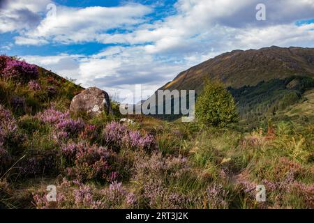 Glenfinnan Viaduct, iconic 1901 railway with a curving, 21-arch span, featured in several Harry Potter movies, Glenfinnan, West Highlands, Scotland Stock Photo