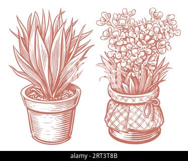 Flower, plant leaves in a pot in sketch style. Houseplant vector illustration vintage engraving style Stock Vector