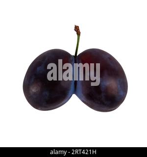 Conjoined fruits isolated on white background. Two plumes fused in one Stock Photo