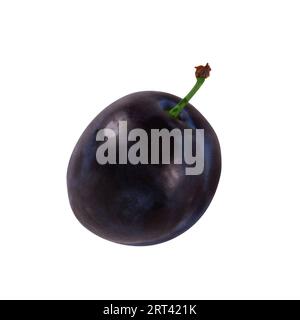 Whole fresh plum fruit isolated on white background Stock Photo