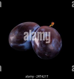 Unique sight two plums intricately conjoined isolated on black background Stock Photo