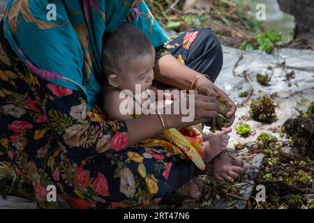 A woman prepares seedling balls to be planted on their floating farm, at her home at Najirpur in Pirojpur, Bangladesh. Stock Photo