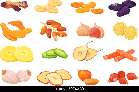 Cartoon dried fruits. Dry isolated raisin date fruit healthy food drying snack, prunes mango apricots grape banana plum berries fig lemon sweet appetizers neat vector illustration Stock Vector