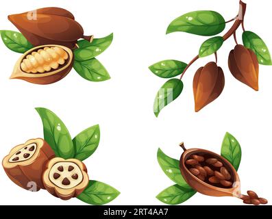 Cartoon cocoa beans. Ripe cacao pod with seed plant tree leaves, chocolate grain in leaf shell bean section farm harvest cocoas fruit for powder food, garish vector illustration of cacao and pod Stock Vector