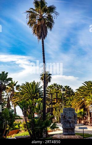 Large palm tree in a resort in Puerto Nuevo a few kilometers from Rosarito in the Baja California of Mexico, this is a beautiful and ideal place for v Stock Photo