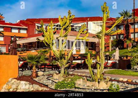 Beautiful resort in Puerto Nuevo a few kilometers from Rosarito in the Baja California of Mexico, this is a beautiful and ideal place for vacation und Stock Photo