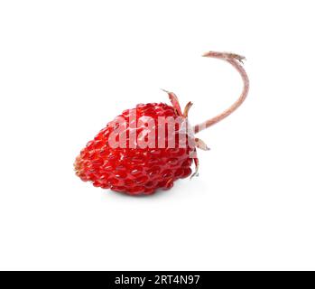 One ripe wild strawberry isolated on white Stock Photo - Alamy