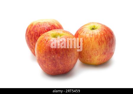 Single perfect fresh organic Ambrosia apple with water drop and leaf on white isolated background, clipping path. red apple is antioxidant fruit and h Stock Photo