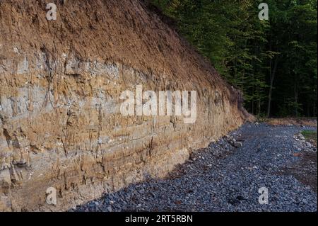 Gray stone road near yellow soil wall in forest with green trees. Scenic, background, wallpaper Stock Photo