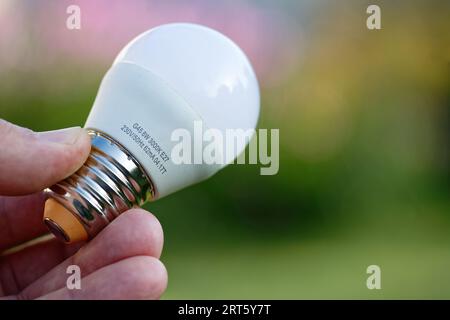 LED lamp bulb in hand on green background. Energy saving. Green energy Stock Photo