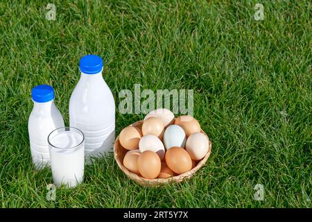 Fresh milk and chicken eggs in the spring green grass on the meadow Stock Photo