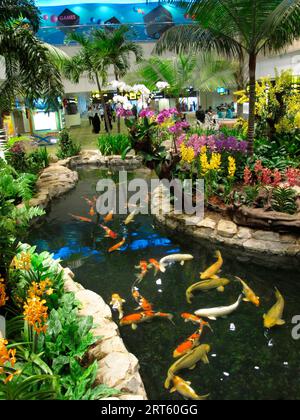 Children watching Koi goldfish in Changi airport, Singapore. Stock Photo